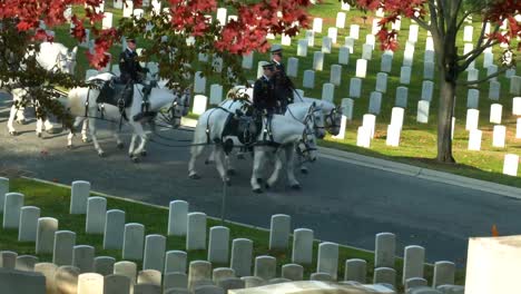 Eine-Militärische-Beerdigung-Mit-Pferdesarg-In-Arlington-National-Cemetery-Washington-DC-Mit-Herbstfarben