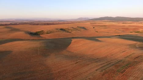 Aerial-over-golden-fields-of-wheat-in-Macedonia-the-Balkans-Eastern-Europe-1