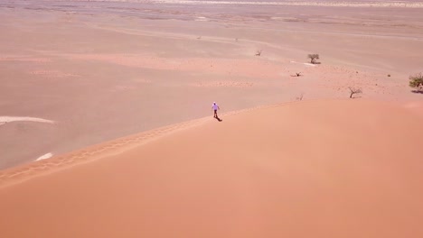 Aerial-over-a-man-hiking-in-the-rugged-desert-landscape-and-sand-dunes-near-Dune-45-in-Namibia-Africa-1