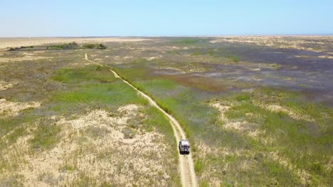 Aerial-of-a-4WD-jeep-vehicle-driving-through-a-grassy-or-marsh-area-on-safari-in-Namibia-Africa