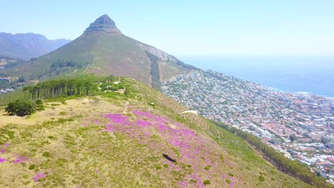 Drone-aerial-over-paragliding-and-paragliders-with-the-downtown-city-of-Cape-Town-South-Africa-in-background-1