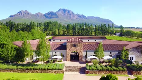Aerial-reverse-from-a-winery-in-Stellenbosch-Cape-Town-South-Africa