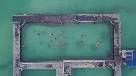 Aerial-of-tourists-snorkling-and-swimming-at-a-dolphin-swimming-center-at-Punta-Cana-in-the-Dominican-Republic