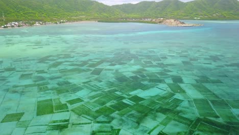 Antenne-Der-Unterwasser-Aquakultur-Algenfarm-In-Der-Nähe-Von-Nusa-Dua-Auf-Der-Insel-Bali-Indonesien-In