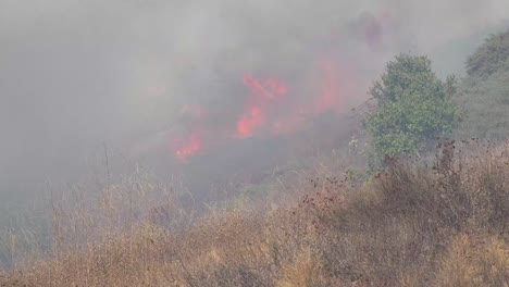 Un-Incendio-Forestal-Se-Quema-Fuera-De-Control-Durante-El-Incendio-Fácil-Cerca-De-Simi-Valley-Los-Angeles,-Condado-De-Ventura,-California