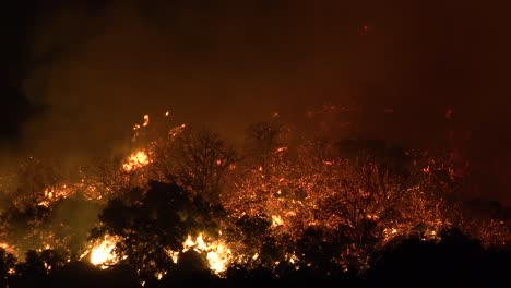 Night-Footage-As-The-Cave-Fire-Near-Santa-Barbara-California-Burns-Vast-Acres-Of-Southern-California-Hillsides-2