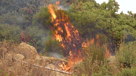 Nahaufnahme-Eines-Generischen-Waldbrandes-Oder-Buschfeuers,-Das-Vegetation-Auf-Den-Hügeln-Südkaliforniens-Brennt-Und-Verzehrt-2
