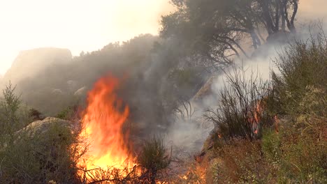 Nahaufnahme-Eines-Generischen-Waldbrandes-Oder-Buschfeuers,-Das-Vegetation-Auf-Den-Hügeln-Südkaliforniens-Brennt-Und-Verzehrt
