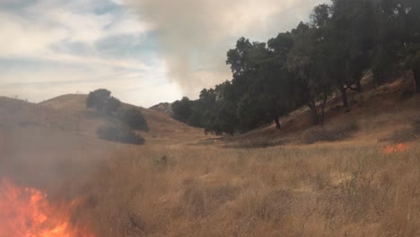 Un-Incendio-Forestal-Prescrito-Controlado-Quema-Alrededor-De-Una-Cámara-Remota-No-Tripulada-En-Un-área-Silvestre-En-El-Condado-De-Santa-Bárbara,-California