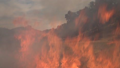 Ein-Kontrolliertes-Vorgeschriebenes-Lauffeuer-Brennt-Um-Eine-Unbemannte-Fernkamera-In-Einem-Wildnisgebiet-In-Santa-Barbara-County,-Kalifornien-1