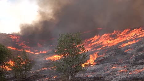 Un-Incendio-Forestal-Arde-En-Las-Colinas-Del-Sur-De-California