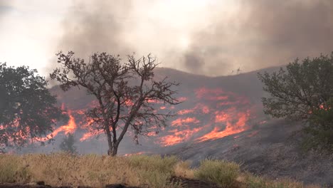 Un-Incendio-Forestal-Arde-En-Las-Colinas-Del-Sur-De-California-2
