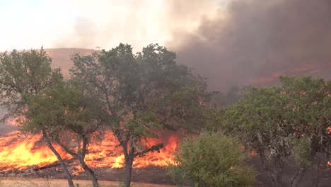 Un-Incendio-Forestal-Arde-En-Las-Colinas-Del-Sur-De-California-3