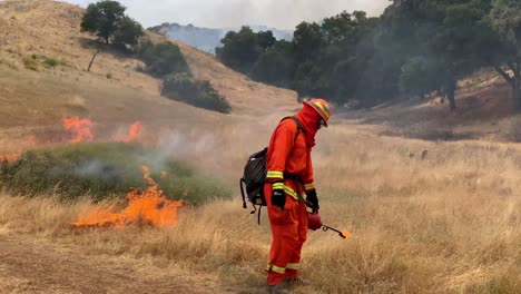 A-Controlled-Prescribed-Wildfire-Is-Lit-By-A-Firefighter-In-A-Wilderness-Area-In-Santa-Barbara-County-California-4