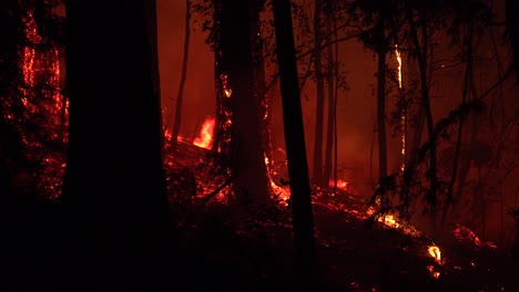 Night-Forest-Fire-Burning-During-Lightning-Complex-Fire-In-Santa-Cruz-Mountains-California-2