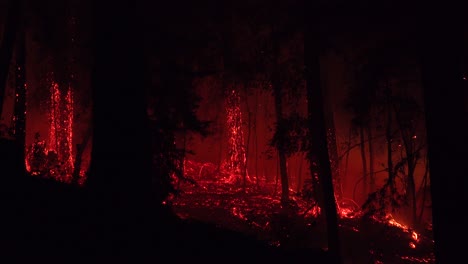Night-Forest-Fire-Burning-During-Lightning-Complex-Fire-In-Santa-Cruz-Mountains-California-3