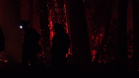 Night-Firefighters-Fire-Fighting-During-Lightning-Complex-Fire-In-Santa-Cruz-Mountains-California-1