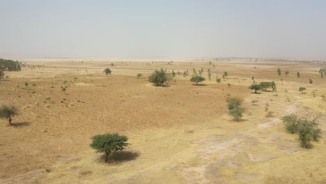 Aerial-Over-The-Dry-Savannah-Landscapes-Of-Senegal-Mali-Or-Gambia-In-West-Africa