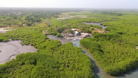 Aerial-Over-Vast-Mangrove-Swamps-On-The-Gambia-River-The-Gambia-West-Africa-Ends-In-Makeshift-Lodge-Or-Remote-Hostel-1