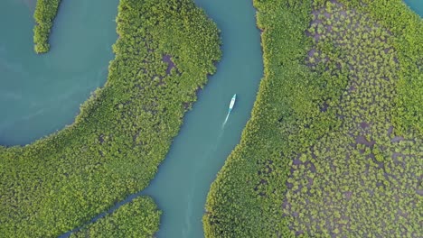 Top-Down-Aerial-Over-Small-Boat-Moving-Along-The-Gambia-River-In-West-Africa