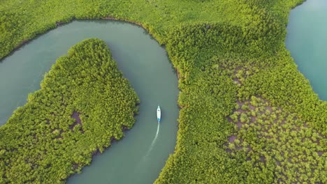 Amazing-Top-Down-Aerial-Over-Small-Boat-Moving-Along-The-Gambia-River-In-West-Africa