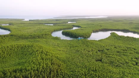 Beautiful-Aerial-Over-Small-Boat-Moving-Along-The-Gambia-River-In-West-Africa-Through-Mangrove-Forests-And-Winding-Bends-6