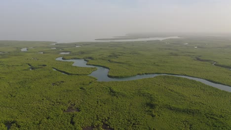 Aerial-Over-Vast-Mangrove-Swamps-On-The-Winding-Gambia-River-The-Gambia-West-Africa
