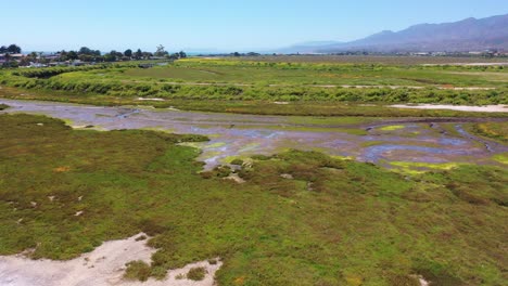 Aerial-Marsh-Wetlands-Area-Near-Carpinteria-Santa-Barbara-California