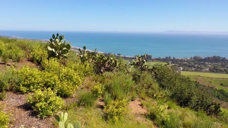 Vista-Aérea-Over-Cactus-Reveals-Carpinteria-California-And-Establishing-Santa-Barbara-Coastline-Below