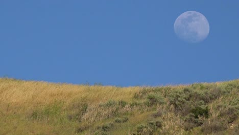A-Full-Moon-Rises-Over-A-Hillside-In-California-With-Grass-Blowing-In-This-Beautiful-Nature-Shot-2