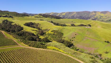 Gute-Luftaufnahme-über-Dem-Weinanbaugebiet-Santa-Ynez-Weinberge-In-Santa-Barbara-County-Kalifornien-2