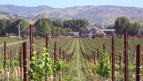 Establishing-Shot-Of-A-Picturesque-Winery-In-The-Santa-Ynez-Valley-Santa-Barbara-Vineyard-California