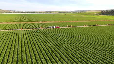 Excellent-Aerial-Of-Vast-Commercial-California-Farm-Fields-With-Migrant-Immigrant-Mexican-Farm-Workers-Picking-Crops-2
