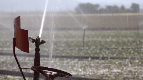 Sprinklers-Irrigate-Farm-Fields-With-Water-In-California-During-A-Time-Of-Dryness-And-Drought