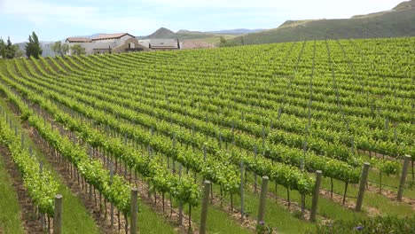 Ein-Wunderschönes-Weingut-Und-Weinberge-In-Der-Region-Santa-Ynez-In-Santa-Barbara-Kalifornien