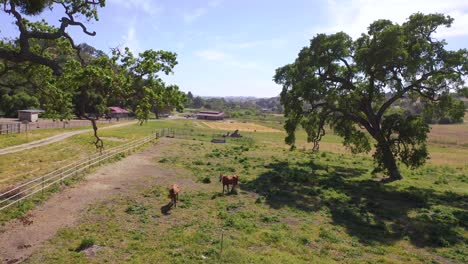 Schöne-Antenne-über-Einer-Pferdefarm-Oder-Ranch-In-Santa-Barbara-County,-Kalifornien-2