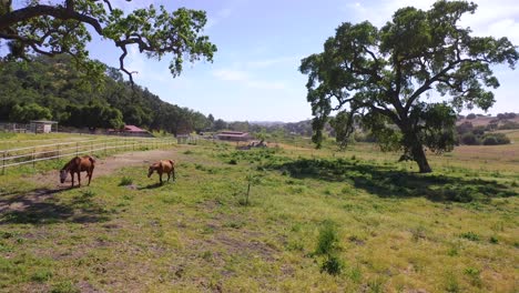 Schöne-Steigende-Antenne-über-Einer-Pferdefarm-Oder-Ranch-In-Santa-Barbara-County-Kalifornien-Count