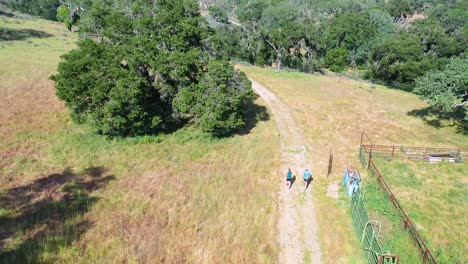 Aerial-Over-A-Man-And-Woman-Hiking-With-Dog-On-A-Trail-In-Santa-Barbara-County-California-2