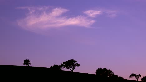 A-Purple-Sky-At-Sunset-With-Trees-On-A-Ridge-Silhoutted-In-This-Beautiful-Central-California-Nature-View