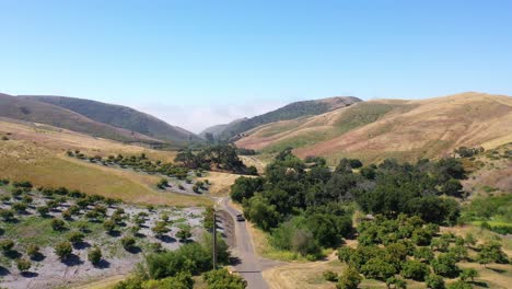 Aerial-Above-A-Pickup-Truck-Driving-Through-A-Avocado-Ranch-Farm-Along-The-Coast-Of-Santa-Barbara-California