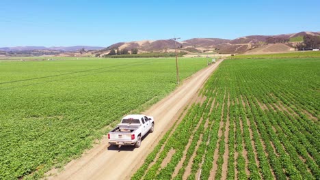 Good-Aerial-Of-A-Pickup-Truck-Driving-Through-Farm-Fields-In-Lompoc-Santa-Barbara-County-California