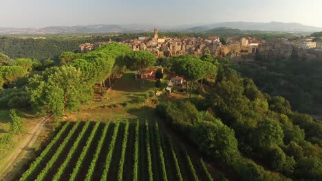 An-Aerial-View-Shows-Crops-Being-Grown-Outside-Pitigliano-Italy