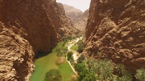 Eine-Luftaufnahme-Zeigt-Eine-Wasserstraße-Und-Grün-Zwischen-Canyons-Im-Wadi-Shab-Oman