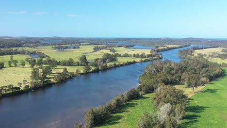 Great-Aerial-Shot-Of-Cattle-Grazing-Near-A-River-In-Moruya-New-South-Wales-Australia
