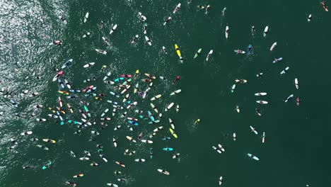 Aerial-over-surfers-in-circle-during-BLM-Black-Lives-Matter-Paddle-For-Freedom-gathering-in-California-5