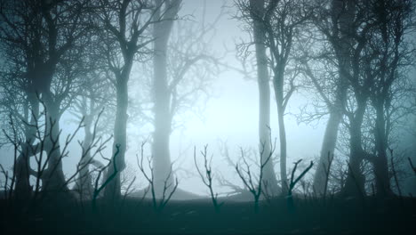 Mystical-horror-background-with-dark-blue-forest-and-fog-abstract-backdrop