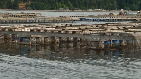 Eine-Schwimmende-Aquakultur-Muscheltierfarm-In-Den-USA-2010er-Jahre