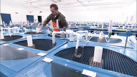 An-Indoor-Fish-Aquaculture-Farm-In-the-Us-2010S