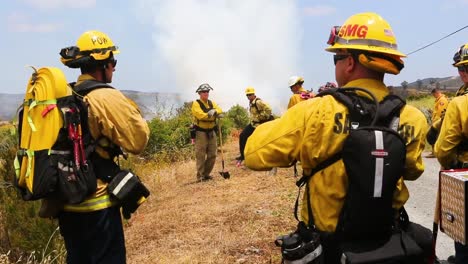 Firemen-Set-A-Controlled-Fire-In-A-Brush-Area