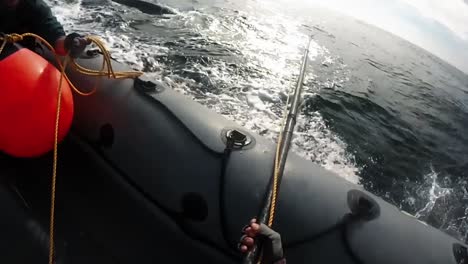 Head-Mount-Footage-Of-Noaa-Attempting-To-Disentangle-A-Badly-Injured-Whale-From-Fishing-Gear